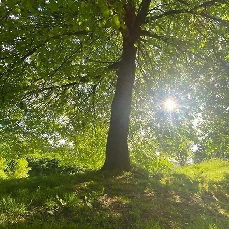 Unter Der Linde Appartement