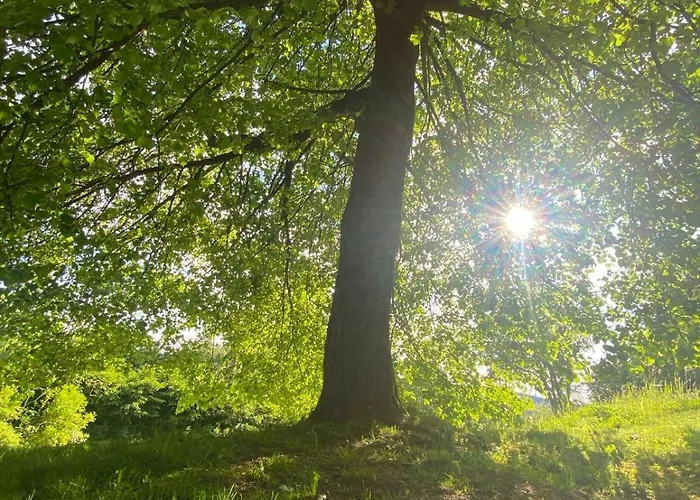 Unter Der Linde Appartement